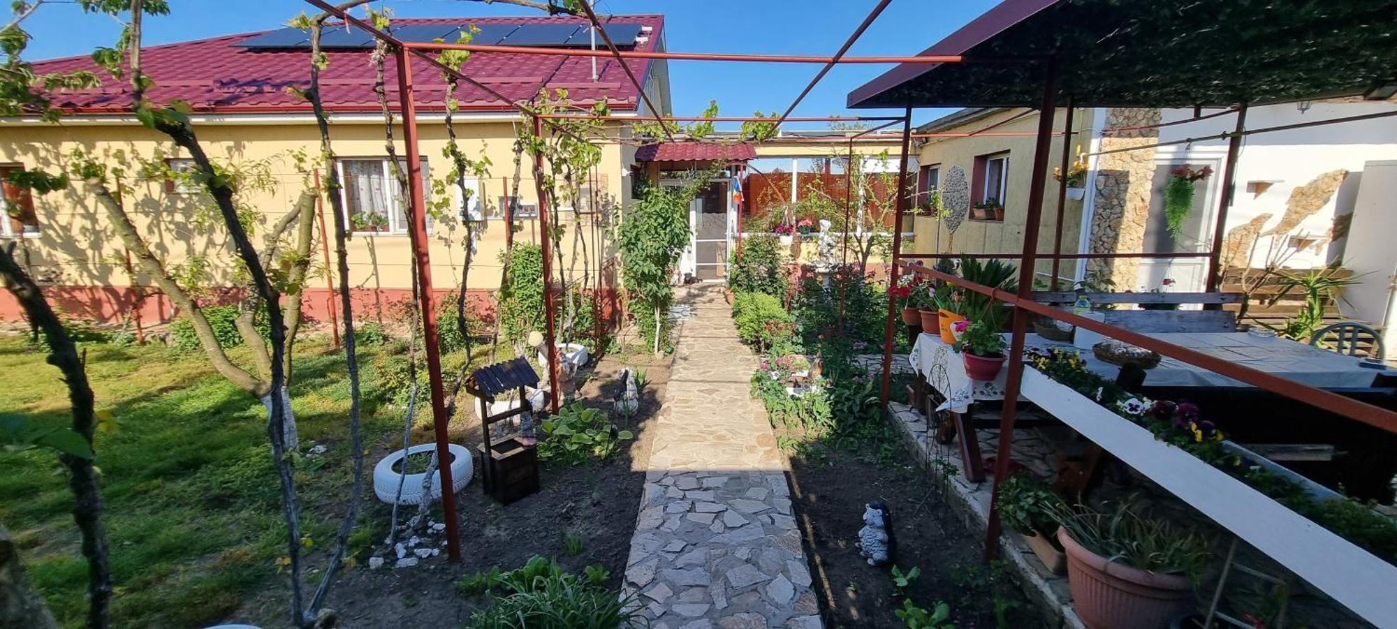 Casa Stefan Hotel Douăzeci şi Trei August Buitenkant foto